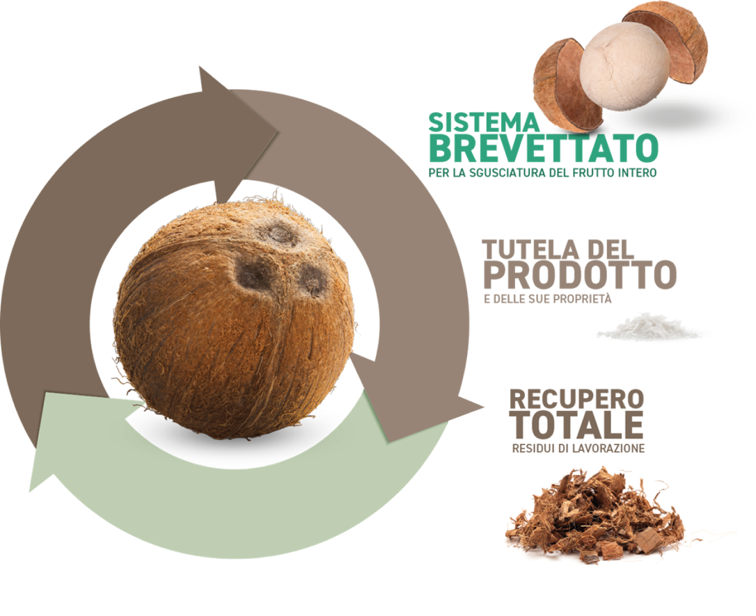 soluzioni Agrimat brevettate per la lavorazione del cocco