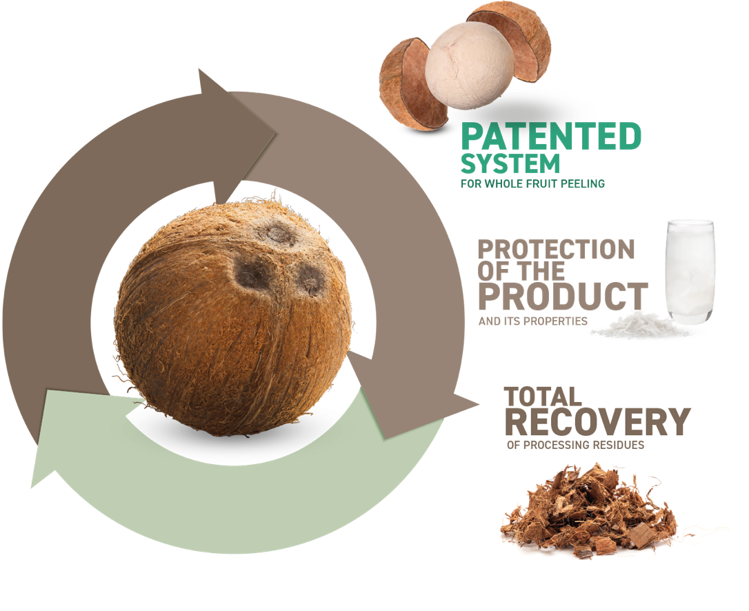 soluzioni Agrimat brevettate per la lavorazione del cocco